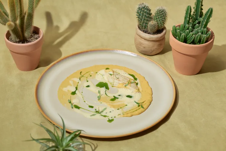 「比目魚－哈拉匹紐辣椒－玉米咖啡醬」。The Tavernist提供