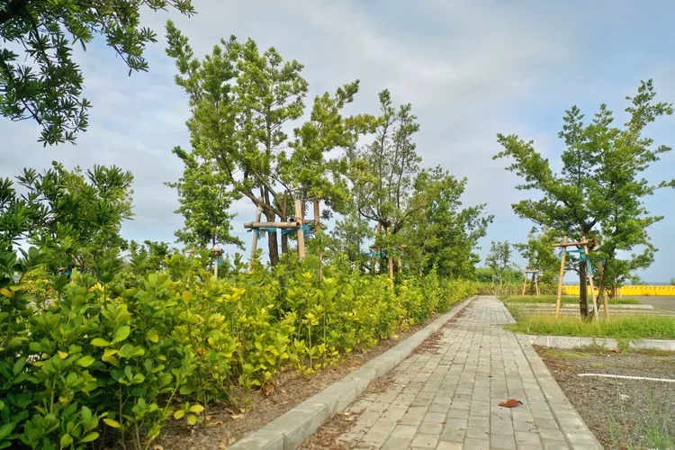 大武之心南迴驛的森林停車場遭受批判。古和純攝