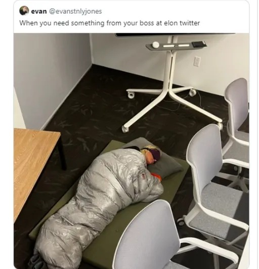 馬斯克將大裁員!推特員工人人自危 產品總監裹著睡袋睡辦公室