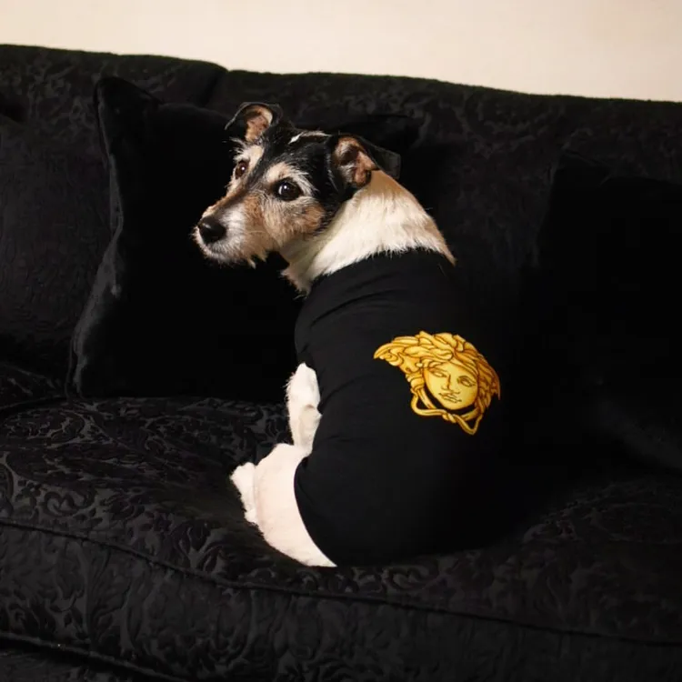 Donatella Versace為愛犬Audrey打造出不少讓人類看了也眼紅的華服。翻攝audrey_versace IG
