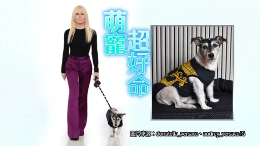 好狗命！Donatella Versace愛犬比她還愛美　華麗衣櫥讓人類都汗顏