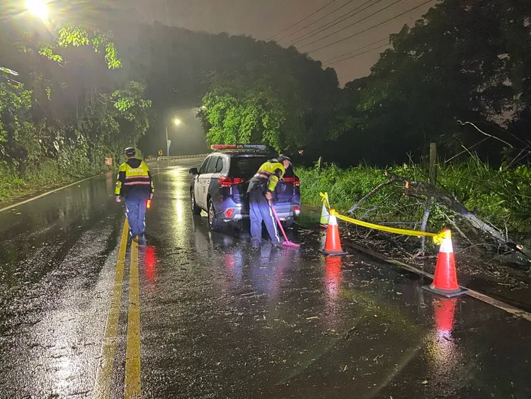 警方徒手先清理傾倒路樹。警方提供