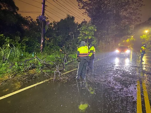 雨炸基隆路樹倒塌佔車道 警方徒手清理40分鐘迅速恢復交通