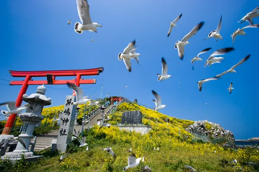 日本好驚奇｜在這個城市被「鳥便便」打到竟是幸運象徵　還可換專屬紀念品