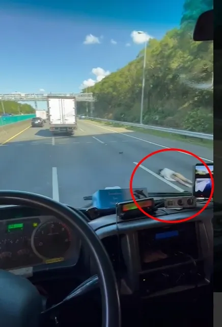 女子從天而降，嚇壞駕駛人。引自爆料公社