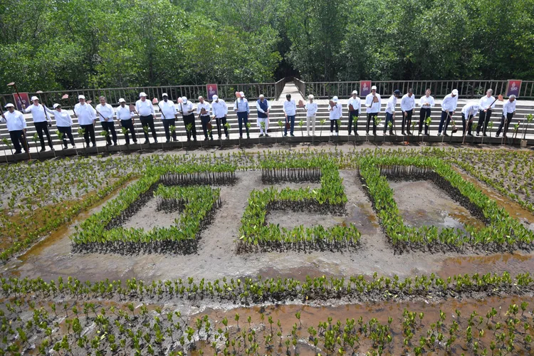 與會領袖16日在印尼峇里省省會登巴薩（Denpasar）一處森林公園種樹。路透社