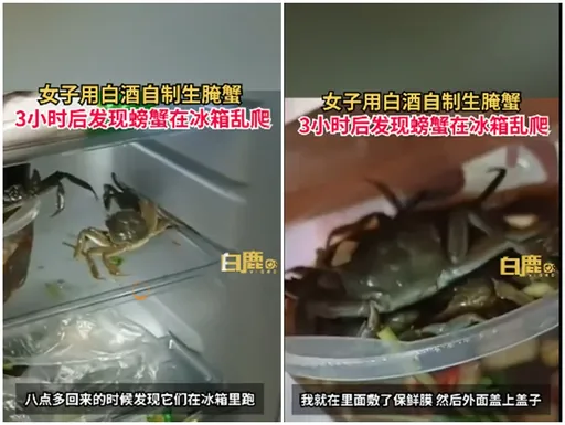 天真女做生醃醬蟹被嚇壞　開冰箱見螃蟹集體發酒瘋