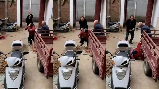 影片|1株櫻桃樹枝葉太長 引爆「斧頭狂殺鄰居」8死2傷慘劇