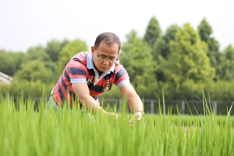 簡碩宏具有日本米．食味鑑定士、水田環境鑑定士資格，堪稱台灣最懂米的專家之一。業者提供 
