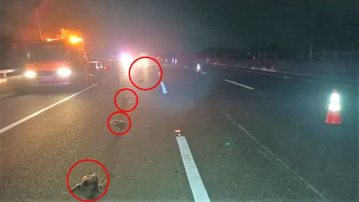 血腥內臟釀連環車禍!貨車挨撞豬腸、肺噴飛 後方2車閃不過又追撞