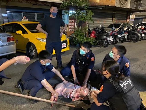 麝香豬逃家逛大街!險害女騎士摔車 桃警花2小時圍捕