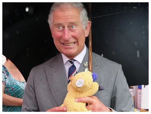 英國查理三世被爆40歲仍像巨嬰 泰迪熊陪睡還要管家照料它