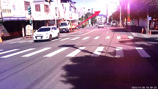 大王椰子葉砸中電纜線　爆炸+閃光影片曝光！嚇壞女騎士