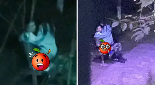 教官拉女学生野战影片曝!激情遭围观浑然不知 拍摄者惊呼:卧槽上去了