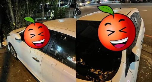 違停仔霸佔人行道沒人管? 「鴿子」替天行道!網喊:好療癒