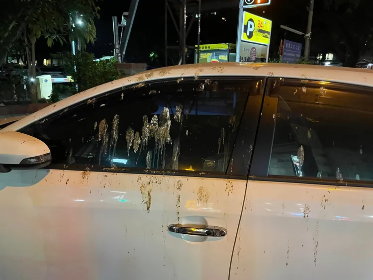 違停車上滿是鳥屎。翻攝自粉專「翻轉國道交通違規」