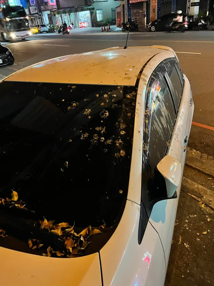 違停車上滿是鳥屎。翻攝自粉專「翻轉國道交通違規」