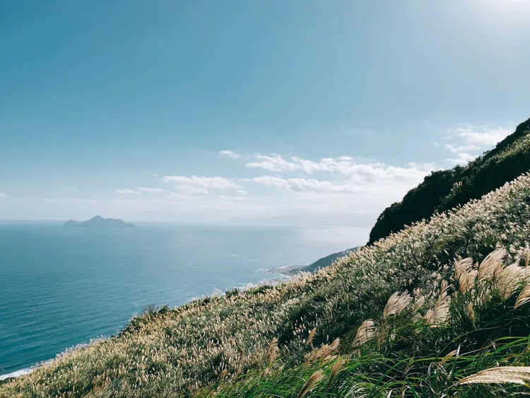 到福容福隆店，可順遊草嶺古道賞芒花。福容大飯店提供