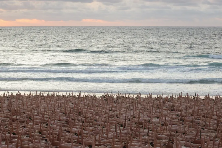 參與者在海灘上變換數個不同姿勢。路透社