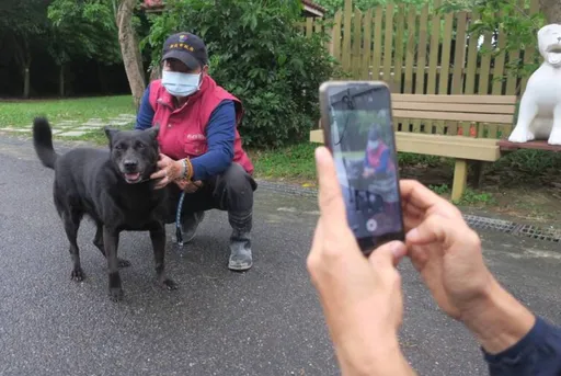 新北最強動保員!拍短片宣傳 助收容10年黑犬找到家