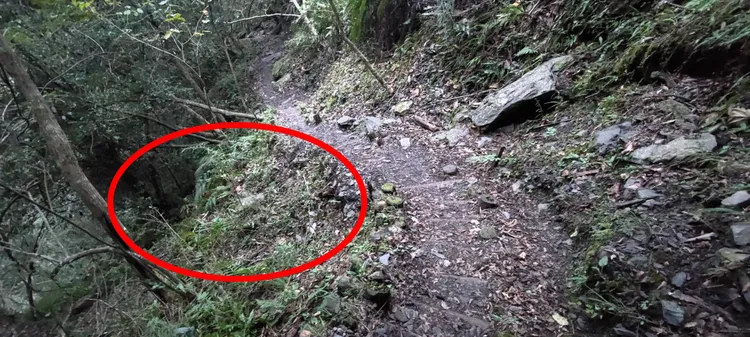 70多歲沈姓女子疑似腳滑踩空滑落邊坡，郭姓男子為救愛妻趕緊伸手拉她，未料2人卻雙雙落墜失蹤。讀者提供