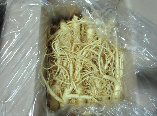 韓國人參驗出7種農藥！　越南2.7萬公斤芋頭重金屬超標