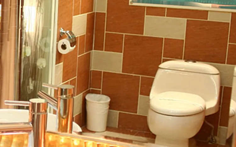 林男性侵得逞後，恐嚇前女友進入浴室內，以利其脫身。翻攝汽車旅館官網