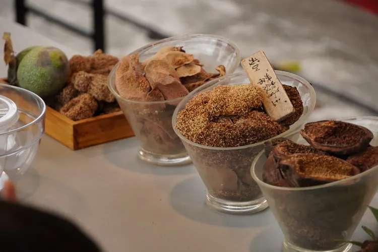 「來趣台東x農遊派對」食農體驗。台東分局提供