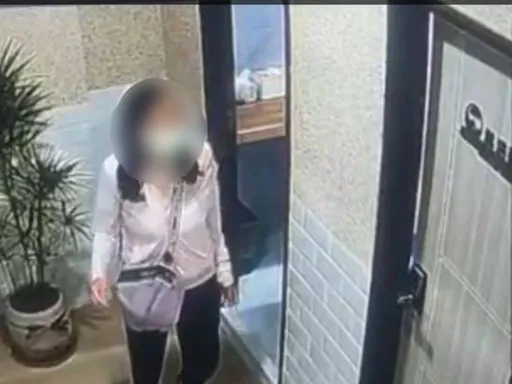 漫畫店見手機　女子起竊心遭送辦