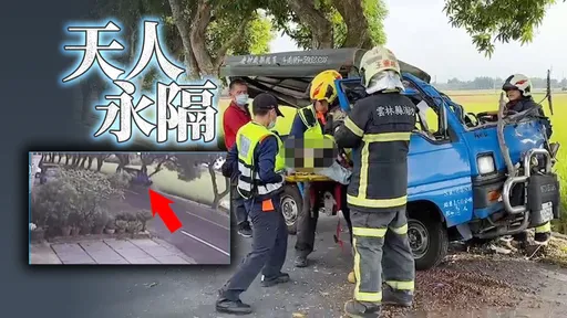 朝著路樹直直衝! 8旬老農載妻返家自撞亡 影片曝光