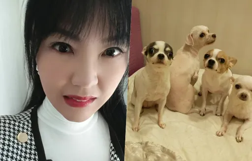 劉樂妍大哭洩心聲！　自爆2愛犬死亡「一直放冰箱」