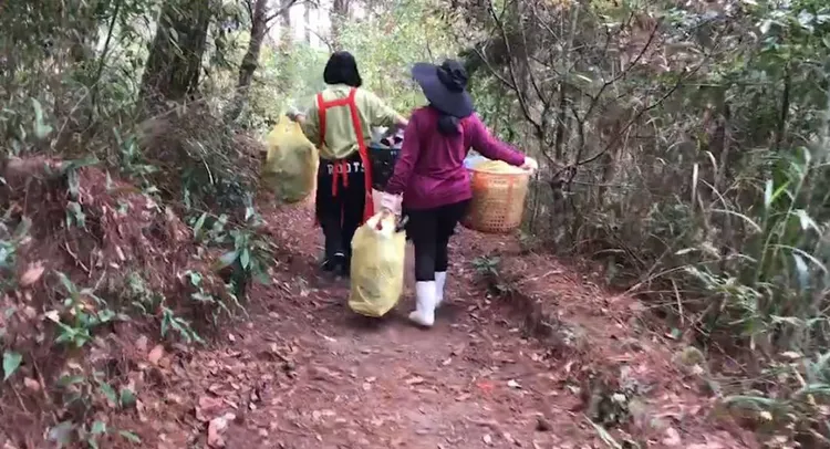 居民將四大袋瓶罐慢慢抬下山。李陳信得攝