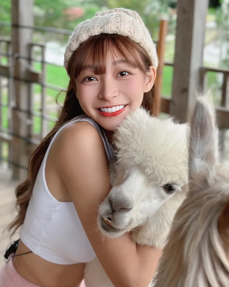 一堆男粉想當羊駝了。翻攝自林襄臉書