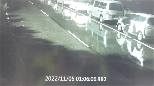 女賊橫行北海岸！榔頭破窗竊財物　4天13車主受害