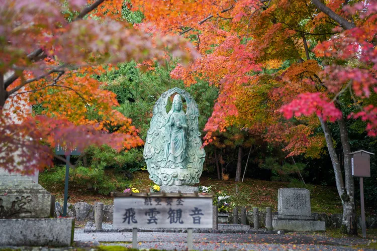 經過朱印所、抵達門票售賣口，夾道兩旁已可欣賞到不少紅葉，還能先參拜庇佑航空安全的飛雲觀音。田欣雲攝