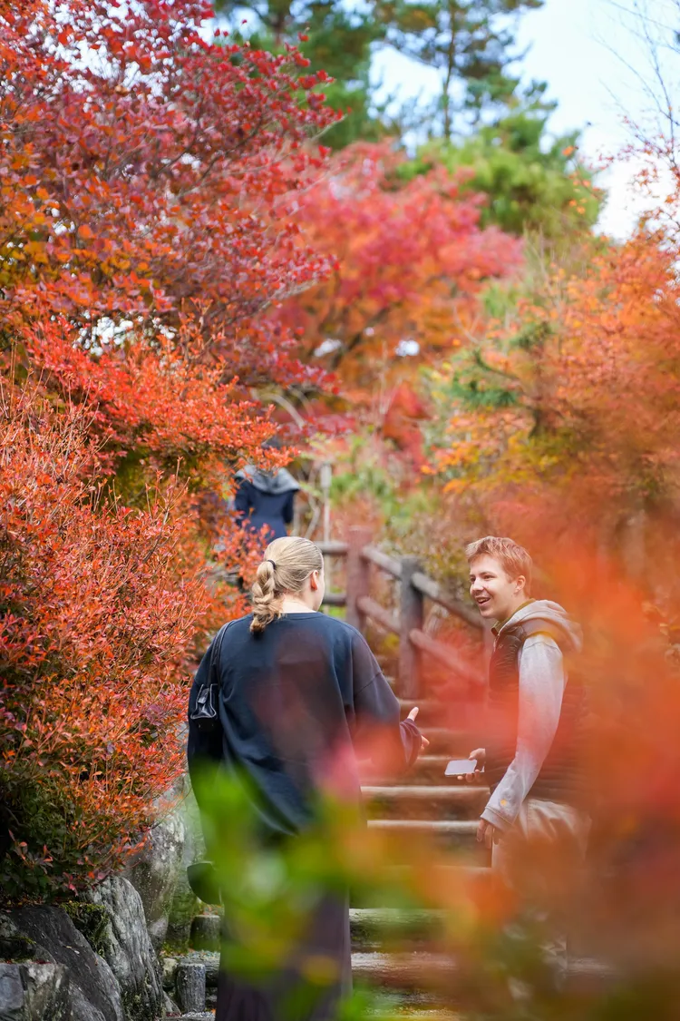 走階梯往上坡則可至「望京之丘」，楓況更盛。田欣雲攝