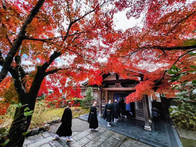 僧眾步入精進料理餐廳「篩月」，一般民眾也可預訂。田欣雲攝