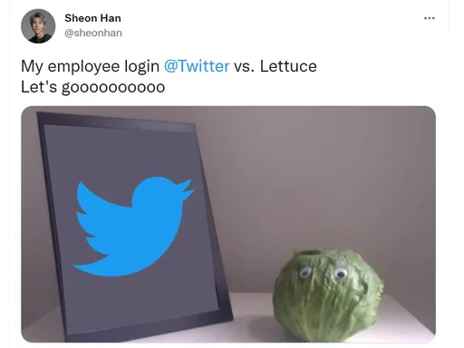 苦中作樂！馬斯克入主推特大裁員　員工看工作能否比生菜長