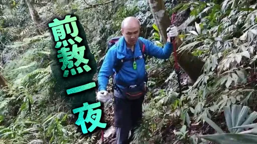 驚險！獨攀八唐縱走誤入獵徑　台北男睡山林一晚隔天獲救