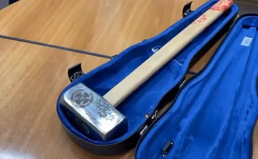 俄「鐵鎚幫」狂妄示威 染血爆頭凶器要送歐洲議會