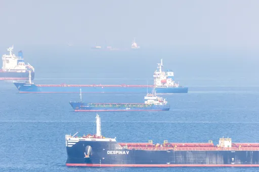 俄羅斯港口檢查作梗　烏克蘭11月出口糧食不到300萬噸