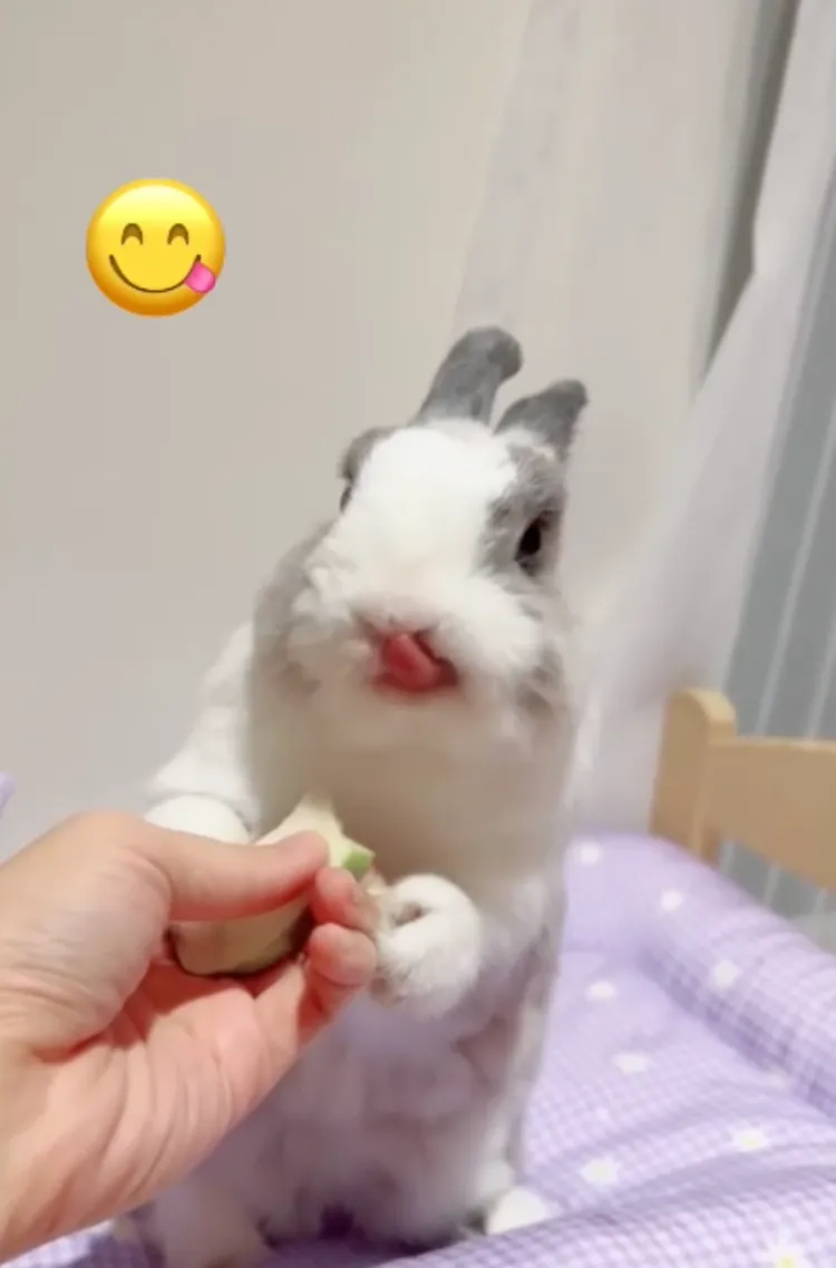 有這麼好吃到舔舌嗎？