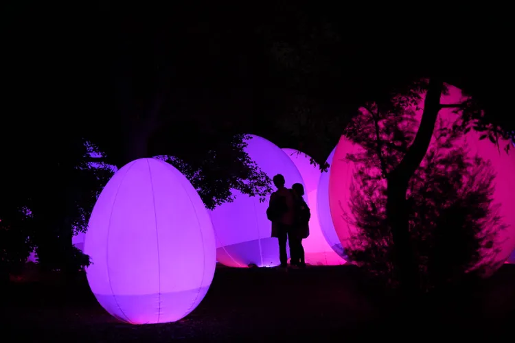 「直立並呼應的生命森林－桉樹」可讓參觀者近距離接觸、互動。黃盈甄攝