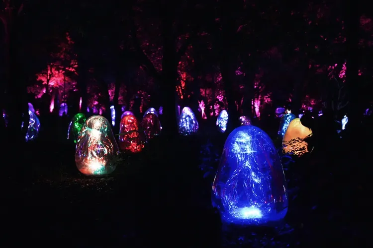 「杜鵑園裡的呼應小宇宙─固化光色，日出與日落」作品充滿迷幻。黃盈甄攝