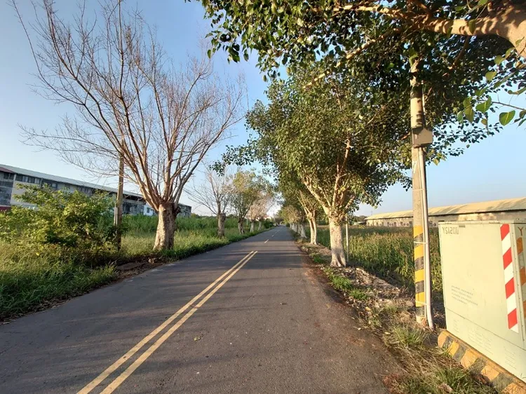 聯外道路將從6米拓寬至12米。市府提供