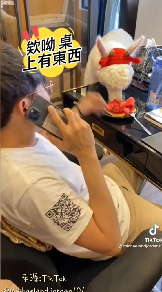 整盤都給我，有吃的絕不可放過！TikTok@michaelandjordan101 提供