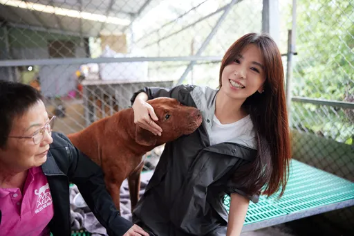 田馥甄獻愛600隻毛小孩　心疼「活菩薩」救狗卻救不了親生兒子