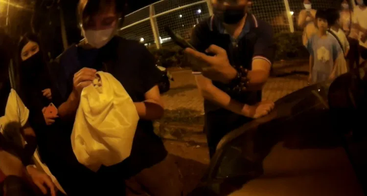 脫困小貓咪被民眾收編帶回家。警方提供