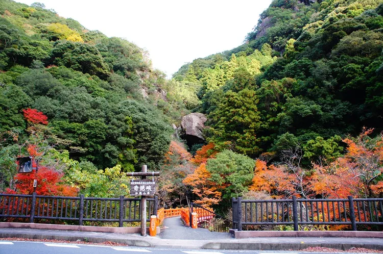 位於田邊市會津川上游的溪谷「奇絶峽」。田邊市役所提供