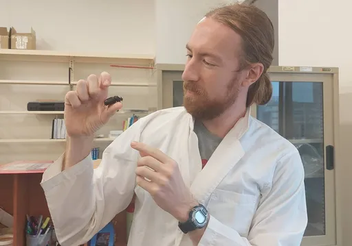 食用維他命B1可驅蚊? 以色列籍台大昆蟲系教授連吃一周破解傳言